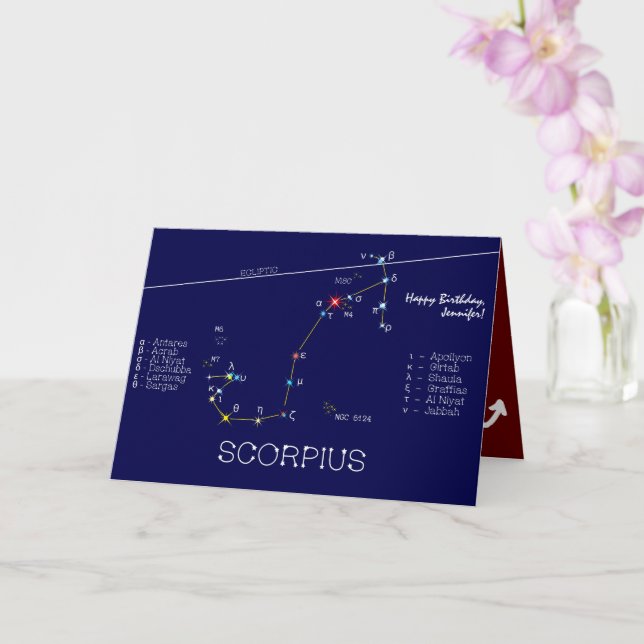 Zodiac Constellation Scorpius Kort (Orkide)