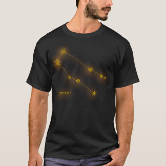 Zodiac - Gemini T-shirt