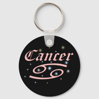 zodiac Keychain Nyckelring