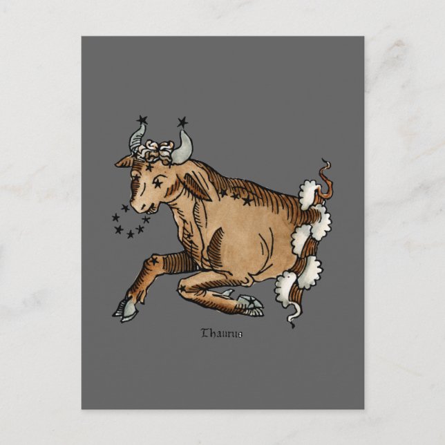 Zodiac: Oxen 1482 Vykort (Framsida)