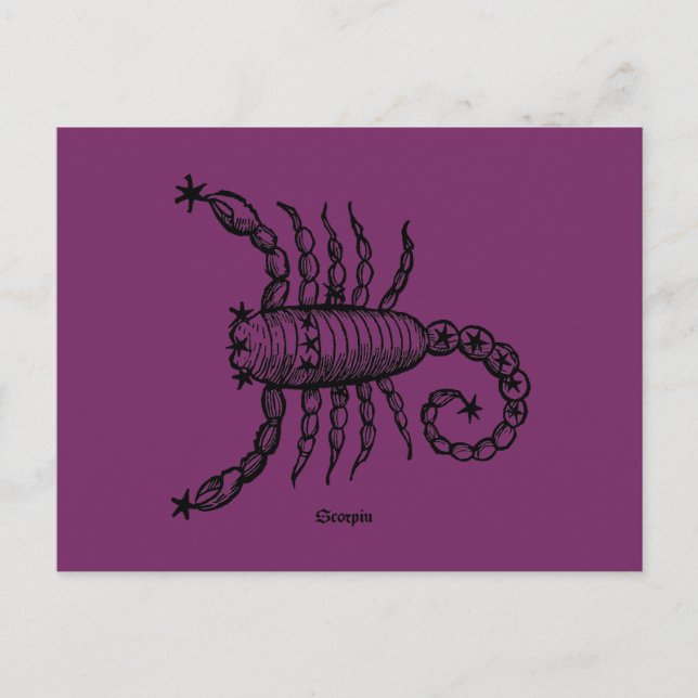 Zodiac: Scorpio, 1482 Vykort (Framsida)