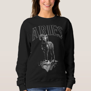 Zodiac Sign Aries Astrology Horoscope T Shirt