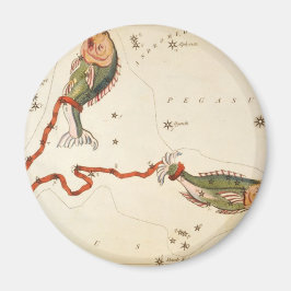 "Zodiac Sign: Pisces" magnet