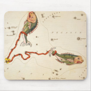 "Zodiac Sign: Pisces" mousserande Musmatta