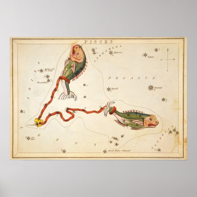 "Zodiac Sign: Pisces" skriver ut/poster Poster (Framsidan)