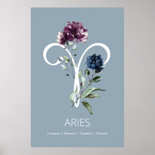 Zodiac Stjärntecken Aries Poster
