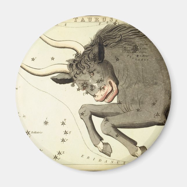 Zodiac-tecken: Taurus magnets Magnet (Framsidan)