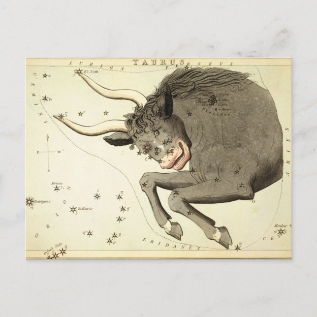 Zodiac-tecken: Taurus-vykort Vykort (Framsida)