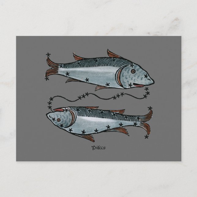 Zodiak: Pisces i Färg Vykort (Framsida)