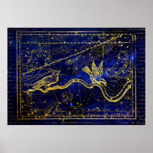 zodiakkonstellation poster