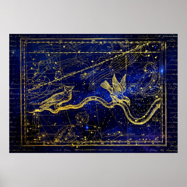 zodiakkonstellation poster (Framsidan)