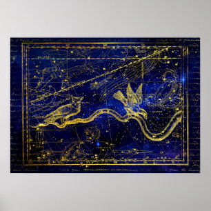 zodiakkonstellation poster