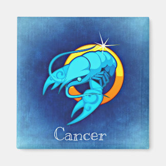zodiakmagnet magnet