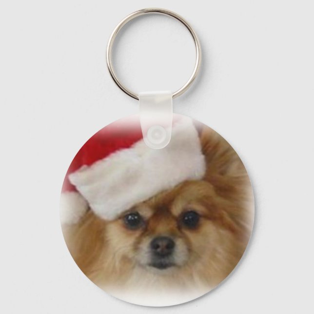 ZOE 2009 NYCKELRING (Framsida)