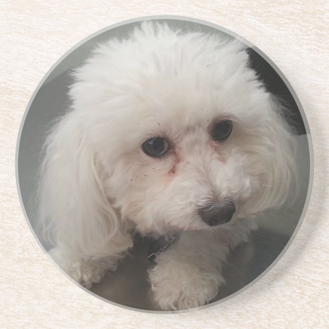 zoe kustfartyg underlägg (Framsidan)