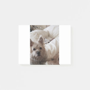 Zoe och Yoda Post-it Block