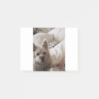 Zoe och Yoda Post-it Block