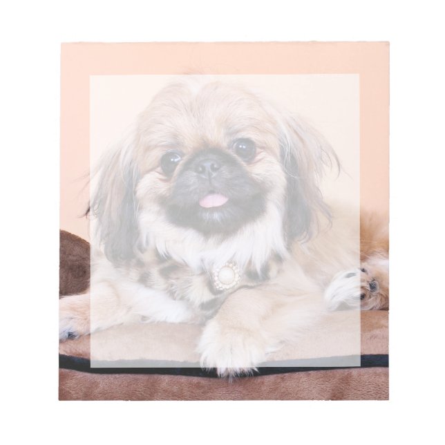 Zoe - Pekingese Anteckningsblock (Framsida)
