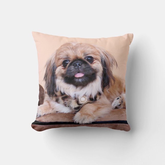 Zoe - Pekingese Kudde (Framsida)