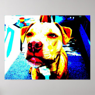 Zoe posterized poster