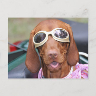 Zoe-Redo till Ride Vykort