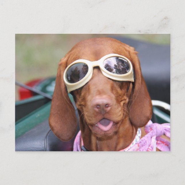 Zoe-Redo till Ride Vykort (Framsida)