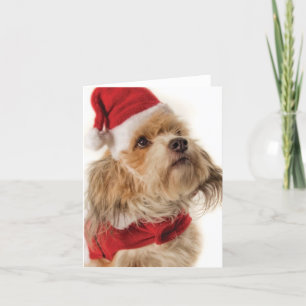 ZOE SANTA HELGKORT