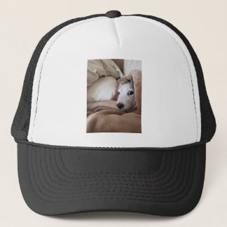 Zoes Friend Yoda Jack Russell Terrier Keps