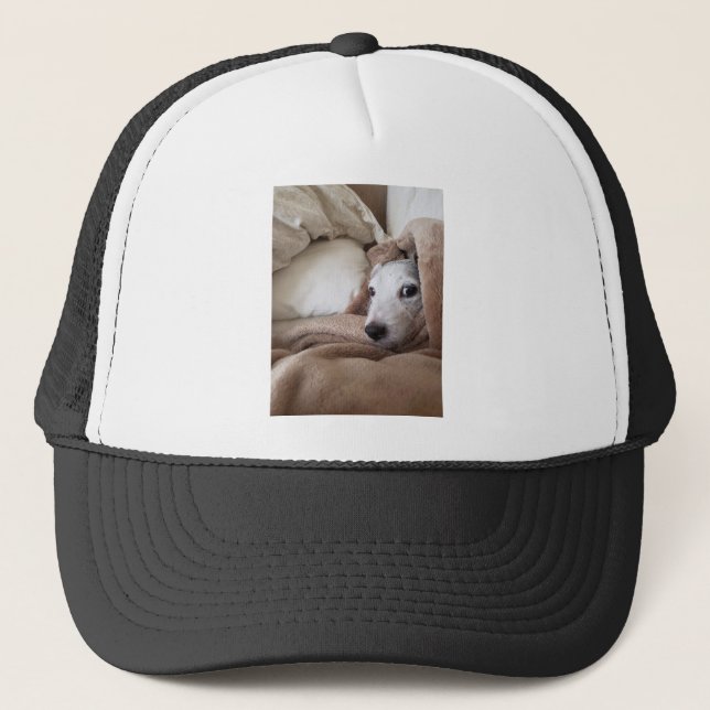 Zoes Friend Yoda Jack Russell Terrier Keps (Framsida)
