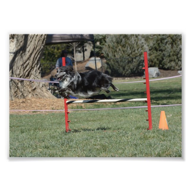 Zoey 1 fototryck (Framsidan)