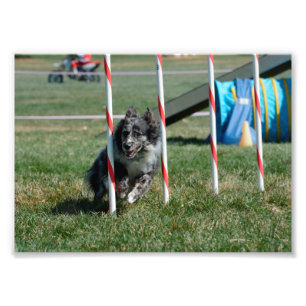 Zoey 2 fototryck