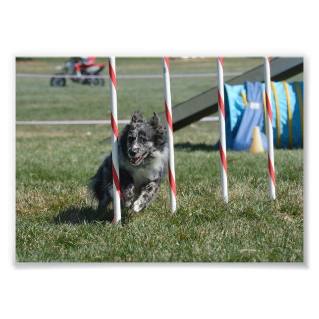 Zoey 2 fototryck (Framsidan)