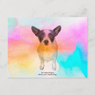 Zoey Disco vykort
