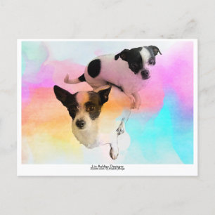 Zoey & Gracie Disco Tom postkort! Vykort