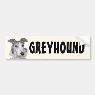 Zoie, Greyhound Bildekal