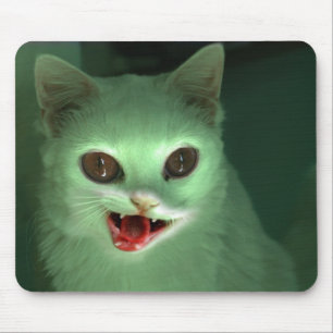 Zombiekattunge Musmatta