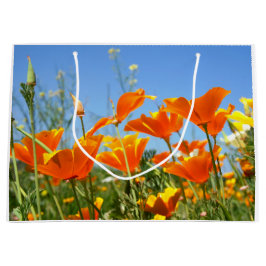 Zomers gevoel van wilde oranje bloemen.