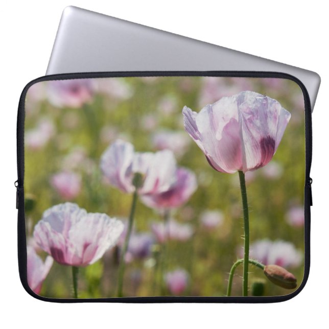 Zomers veld met  lila bloemen in bloei. laptop fodral (Framsidan)