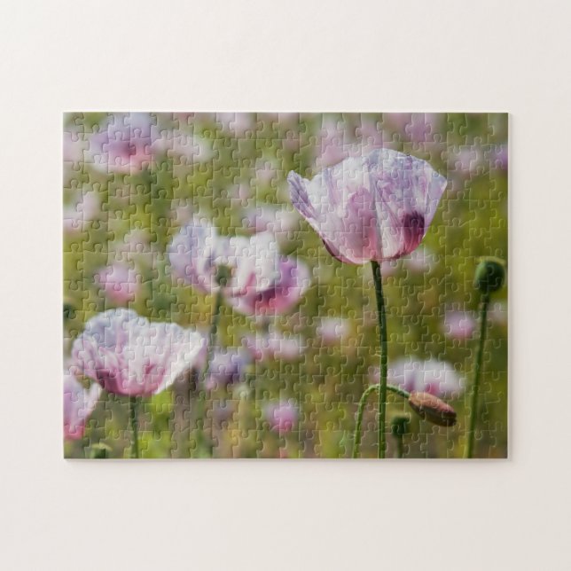 Zomers veld met  lila bloemen in bloei. pussel (Horisontell)