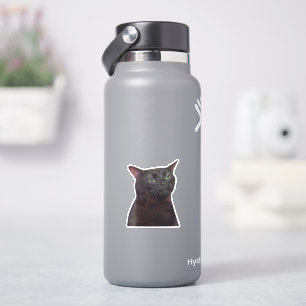 Zonerad ut katt, svart katt utan nos klistermärken