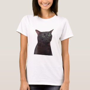 Zonerad ut katt, svart katt utan nos t shirt