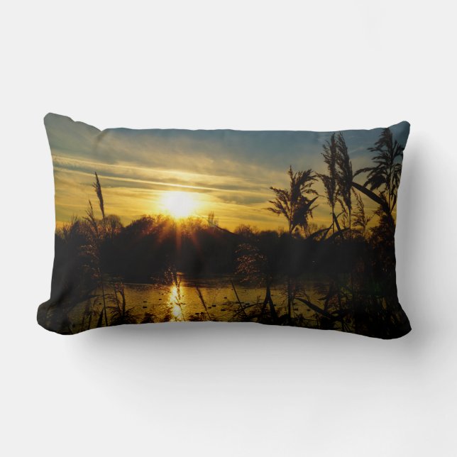 Zonsondergang bij een meertje met rietpluimen. lumbarkudde (Framsida)