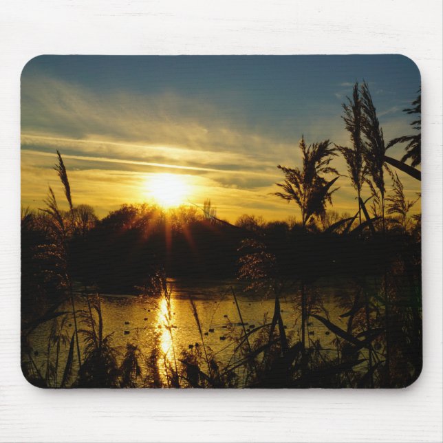 Zonsondergang bij een meertje met rietpluimen. musmatta (Framsidan)