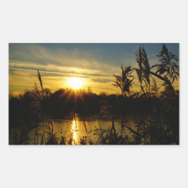 Zonsondergang bij een meertje met rietpluimen. rektangulärt klistermärke