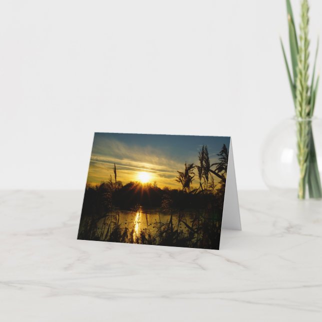 Zonsondergang bij een meertje met rietpluimen. tack kort (Framsida)