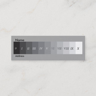 Zont system mini visitkort