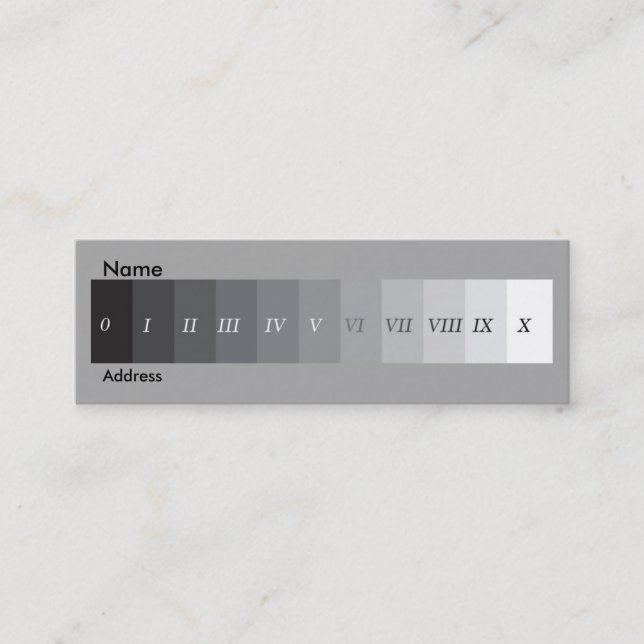 Zont system mini visitkort (Framsida)