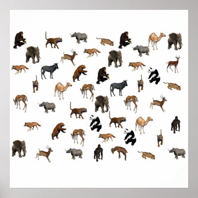 Zoo Animals Poster (Framsidan)