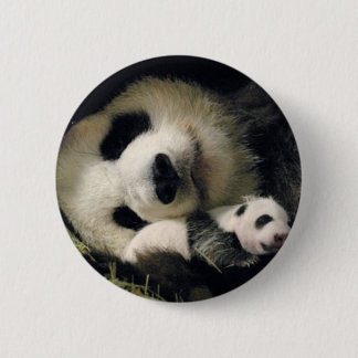 zoo-atlanta_giant_panda_lun-lun_and_cub knapp