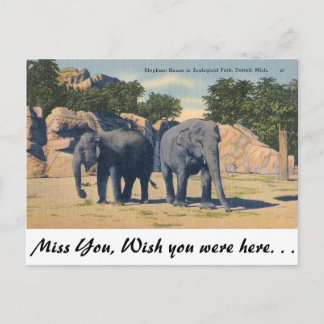 Zoo, Detroit, Michigan Vykort